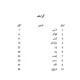 Tanjaly - تنجلی Tanjaly - تنجلی