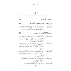 Tanqeed Kay Nay Tanazur - تنقید کے نئے تناظر