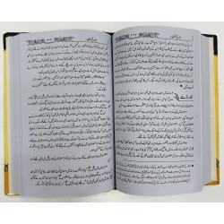 Tareekh e Khulfa - تاریخ الخلفاء