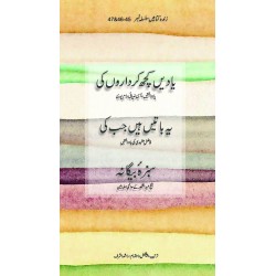 Teen Dilchasp Aap Betian Aik Jild Main - تین دلچسپ آپ بیتیاں ، ایک جلد میں