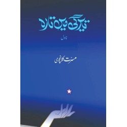 Teerghi Main Tara - تیرگی میں تارہ Teerghi Main Tara - تیرگی میں تارہ