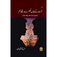 Toot Kay Youn Bikhray Thy Hum - ٹوٹ کے یوں بکھرے تھے ہم