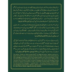 Zaban Aur Tehzeeb - زبان اور تہذیب (جنوب ایشیائی اور مغربی تناظر)