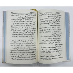 Zia Ul Hassan Ki Tanqeed Nighari - ضیاء الحسن کی تنقید نگاری Zia Ul Hassan Ki Tanqeed Nighari - ضیاء الحسن کی تنقید نگاری