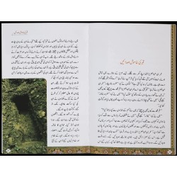 Zindaghi Ki Aakhri Tasverain - زندگی کی آخری تصویریں