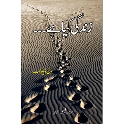 Zindagi Kia Ha? - زندگی کیا ہے Zindagi Kia Ha? - زندگی کیا ہے