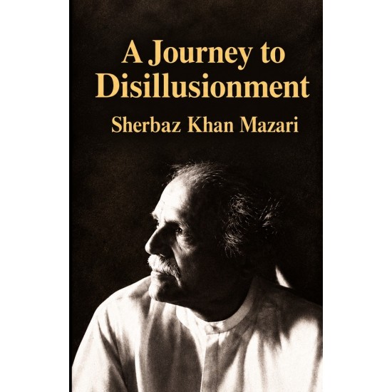 A Journey To Disillusionment