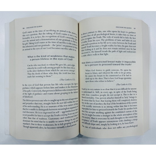 Discover The Quran