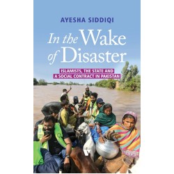 In The Wake Of Disaster