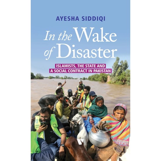 In The Wake Of Disaster In The Wake Of Disaster