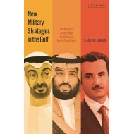 New Military Strategies In The Gulf