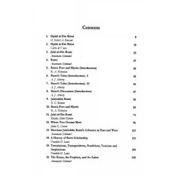 Rumi In The Light Of Eastern Western Scholarship Rumi In The Light Of Eastern Western Scholarship