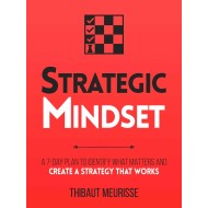 Strategic Mindset