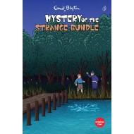 The Mystery Of The Strange Bundle (The Mystery Series) (Book 10)