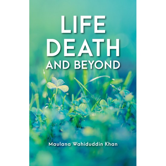 Life Death and Beyond