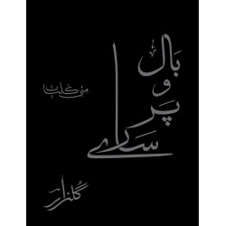 Baal o Par Sary - بال و پر سارے Baal o Par Sary - بال و پر سارے