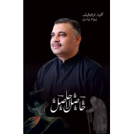 Haasil La Haasil - حاصل لا حاصل